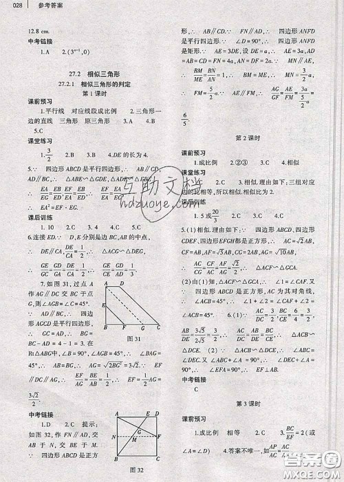 大象出版社2020年基础训练九年级数学全一册人教版参考答案