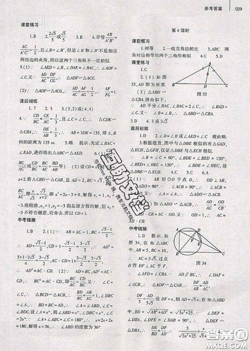 大象出版社2020年基础训练九年级数学全一册人教版参考答案
