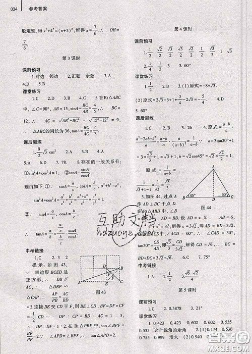 大象出版社2020年基础训练九年级数学全一册人教版参考答案