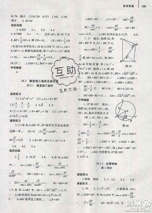 大象出版社2020年基础训练九年级数学全一册人教版参考答案