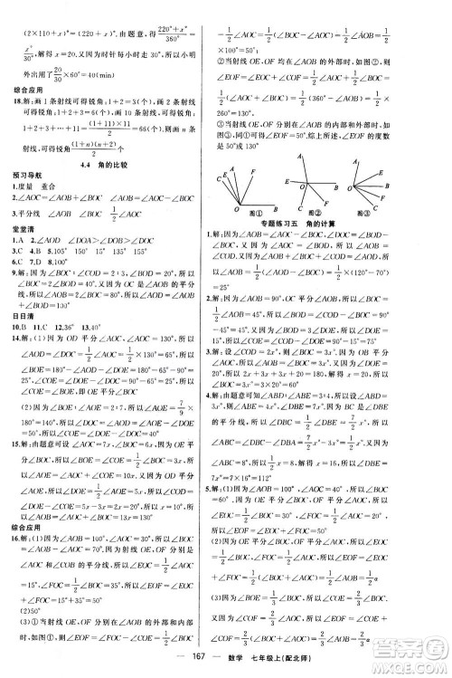 新疆青少年出版社2020年四清导航数学七年级上册北师大版答案