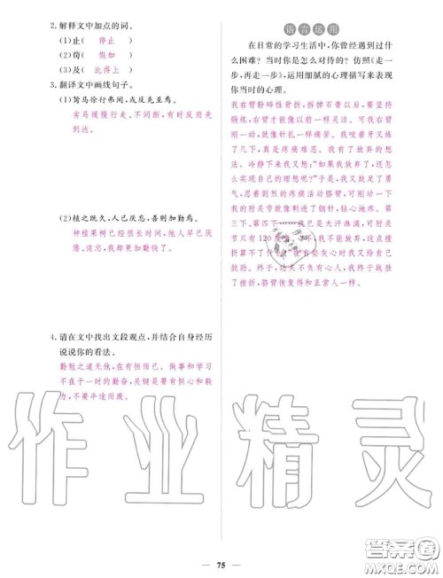 2020年一课一练创新练习七年级语文上册人教版参考答案 2020年一课一练创新练习七年级语文上册人教版参考答案