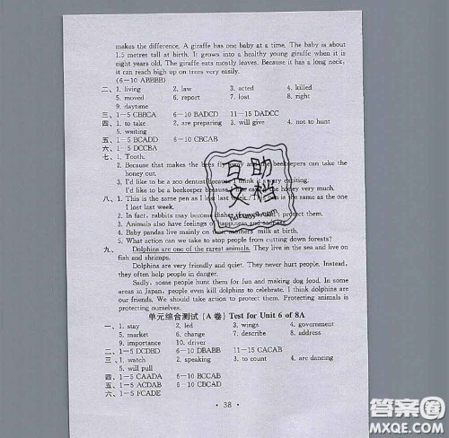 2020年综合素质学英语随堂反馈2八年级上册参考答案