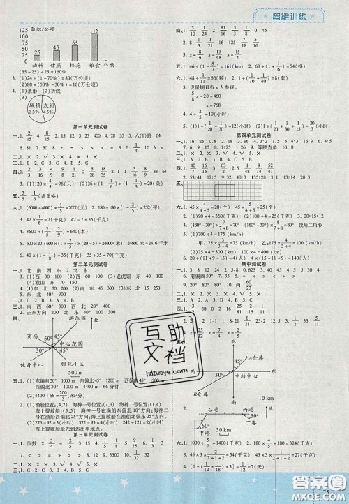 2020年激活思维智能训练六年级数学上册人教版答案