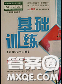 大象出版社2020年基础训练九年级化学全一册人教版参考答案