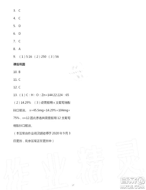 大象出版社2020年基础训练九年级化学全一册人教版参考答案