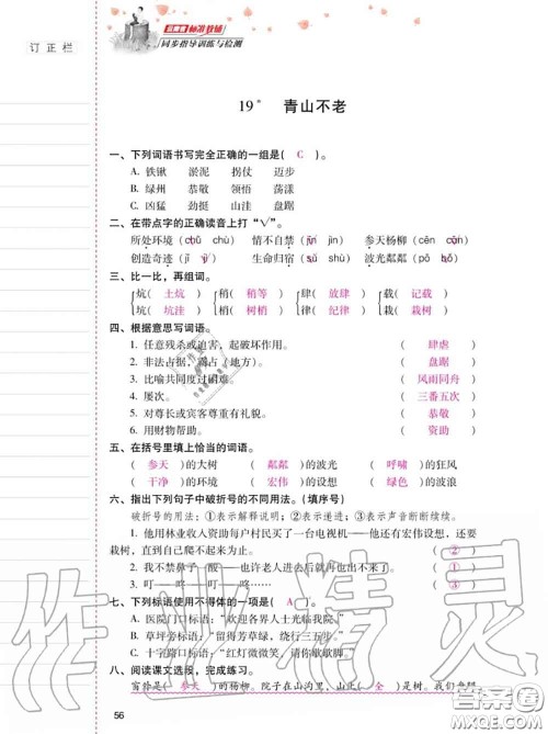 2020年秋同步指导训练与检测六年级语文上册人教版参考答案