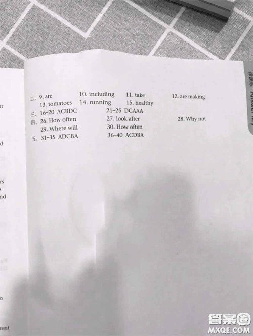 译林出版社2020年初中英语课课练七年级上册译林版答案 译林出版社2020年初中英语课课练七年级上册译林版答案