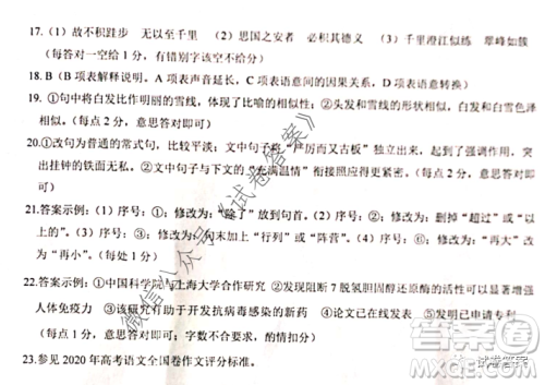 2020-2021学年度武汉部分学校高三新起点质量检测语文试卷及答案