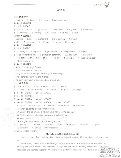 2020年新课程问题解决导学方案九年级英语全一册参考答案