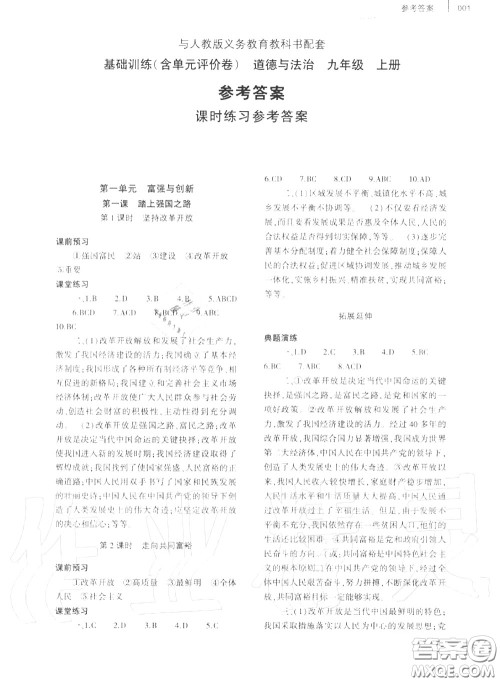 大象出版社2020年基础训练九年级道德与法治全一册人教版参考答案