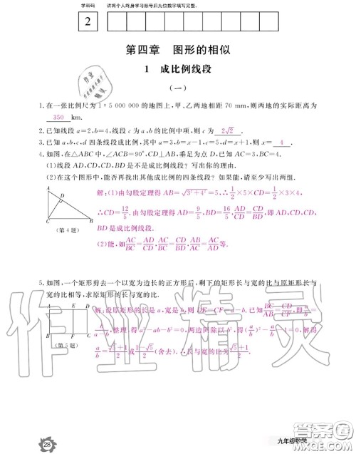 江西教育出版社2020年数学作业本九年级全一册北师版答案