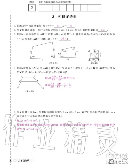 江西教育出版社2020年数学作业本九年级全一册北师版答案