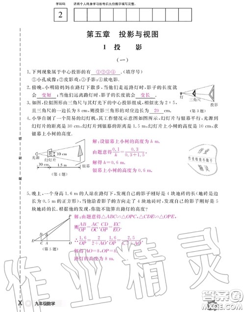 江西教育出版社2020年数学作业本九年级全一册北师版答案