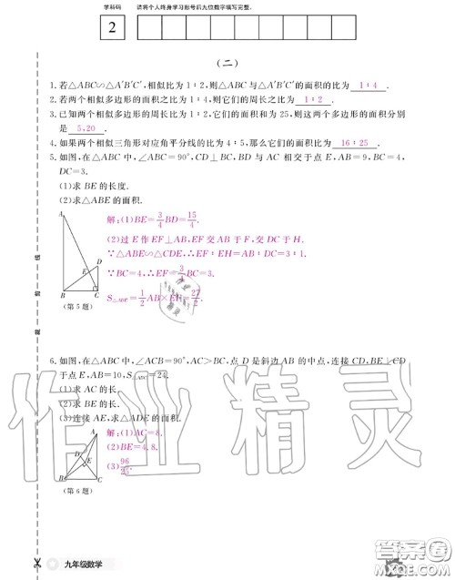 江西教育出版社2020年数学作业本九年级全一册北师版答案
