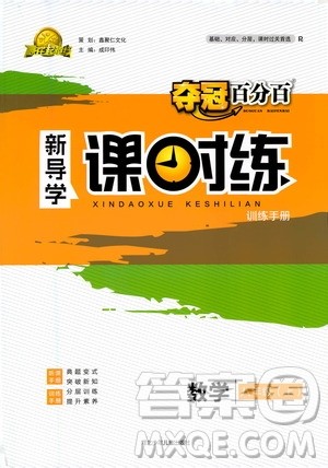 河北少年儿童出版社2020年夺冠百分百新导学课时练数学八年级上册人教版答案