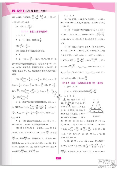 辽海出版社2020新课程能力培养九年级数学上册人教D版答案