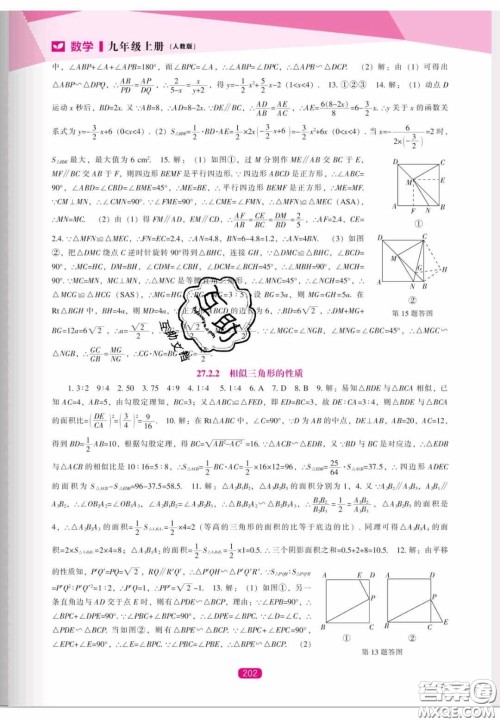 辽海出版社2020新课程能力培养九年级数学上册人教版答案