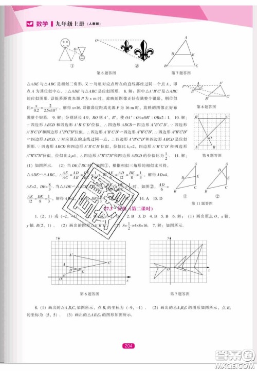 辽海出版社2020新课程能力培养九年级数学上册人教版答案