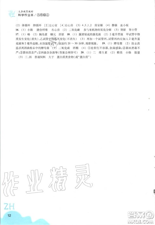 浙江教育出版社2020年科学作业本九年级上册浙教版答案