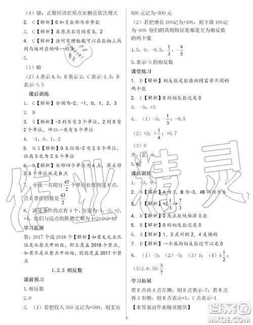 大象出版社2020年基础训练七年级数学上册人教版参考答案