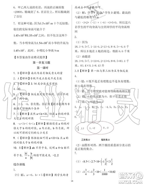 大象出版社2020年基础训练七年级数学上册人教版参考答案