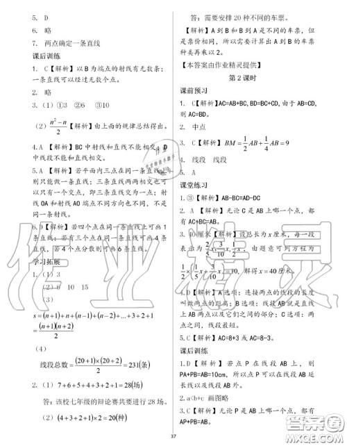 大象出版社2020年基础训练七年级数学上册人教版参考答案