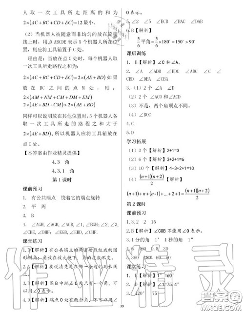 大象出版社2020年基础训练七年级数学上册人教版参考答案