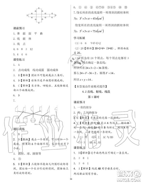 大象出版社2020年基础训练七年级数学上册人教版参考答案