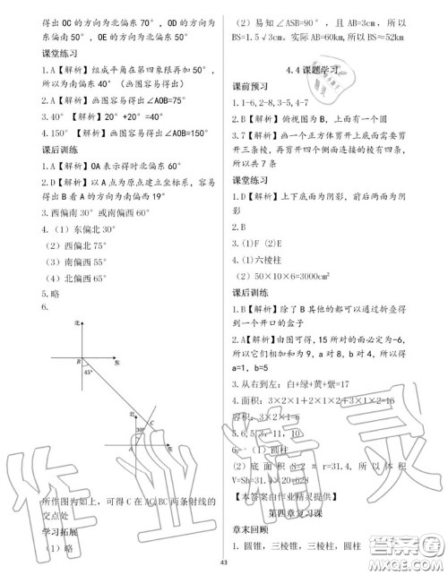 大象出版社2020年基础训练七年级数学上册人教版参考答案