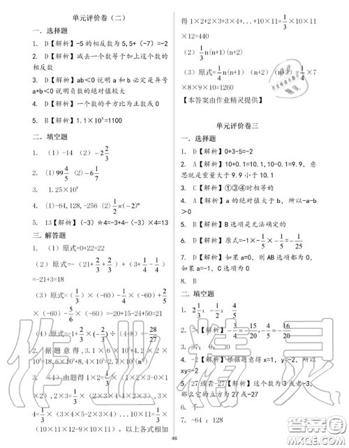 大象出版社2020年基础训练七年级数学上册人教版参考答案