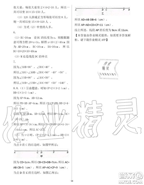 大象出版社2020年基础训练七年级数学上册人教版参考答案