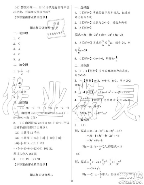 大象出版社2020年基础训练七年级数学上册人教版参考答案