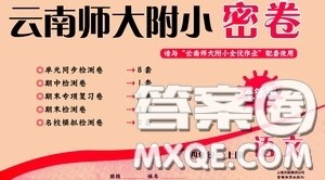 2020秋云南师大附小密卷四年级语文上册全新版答案