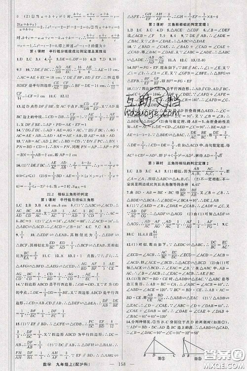 新疆青少年出版社2020秋原创新课堂九年级数学上册沪科版答案 新疆青少年出版社2020秋原创新课堂九年级数学上册沪科版答案