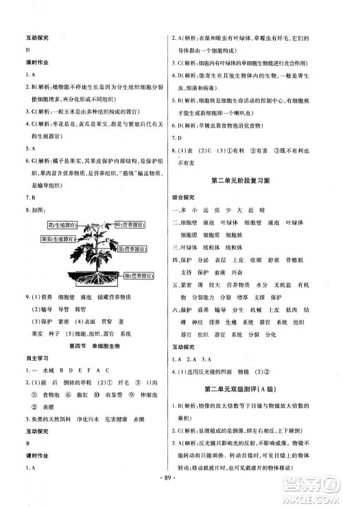 2020年长江全能学案同步练习册生物学七年级上册人教版答案 2020年长江全能学案同步练习册生物学七年级上册人教版答案
