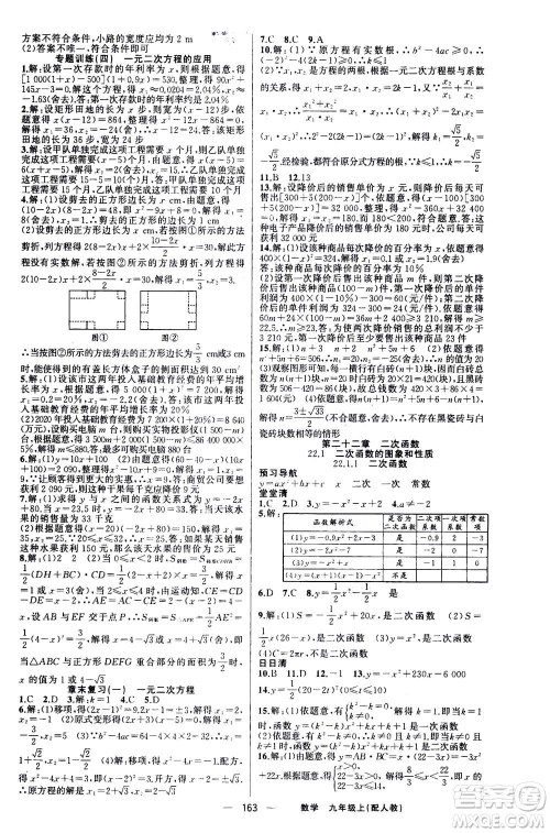 新疆青少年出版社2020年四清导航数学九年级上册人教版答案