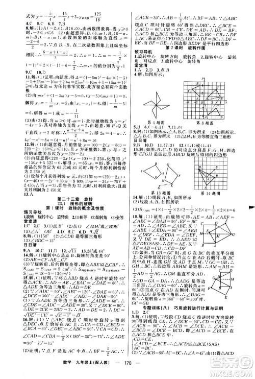 新疆青少年出版社2020年四清导航数学九年级上册人教版答案