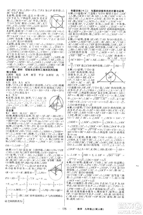 新疆青少年出版社2020年四清导航数学九年级上册人教版答案