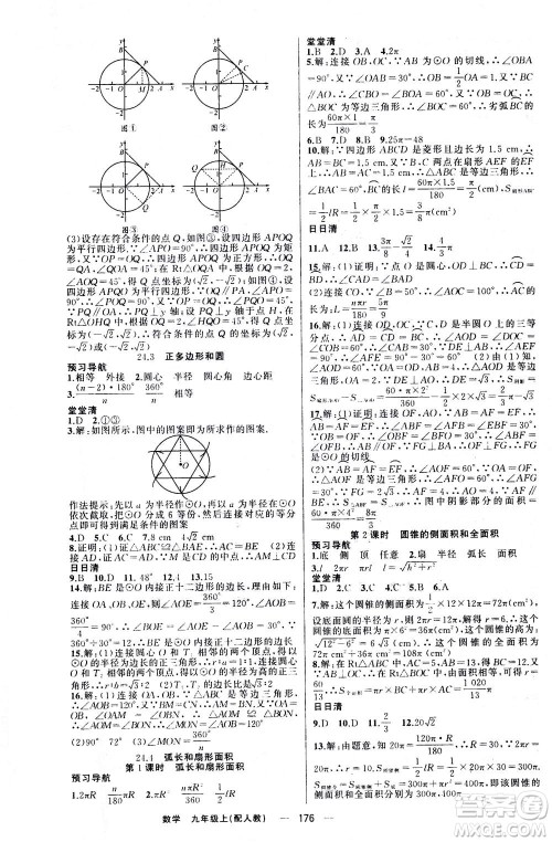 新疆青少年出版社2020年四清导航数学九年级上册人教版答案