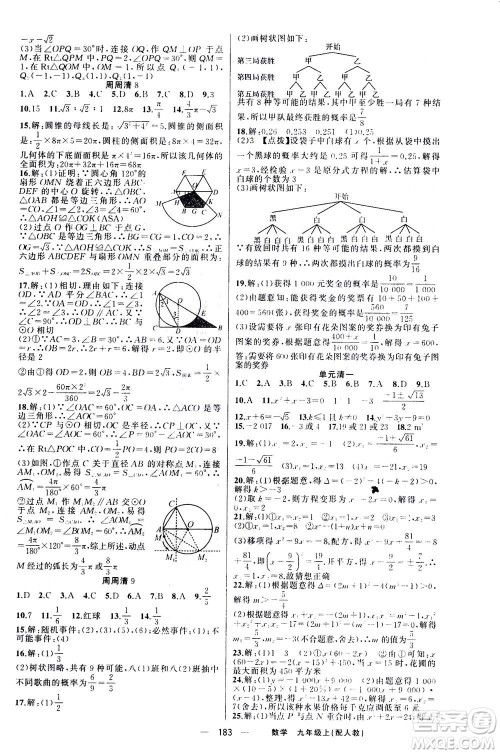 新疆青少年出版社2020年四清导航数学九年级上册人教版答案