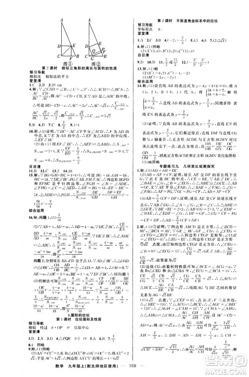 新疆青少年出版社2020年四清导航数学九年级上册北师版答案