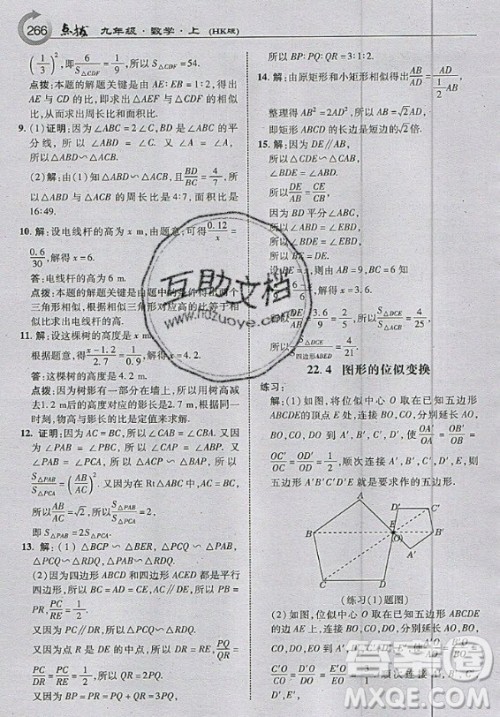 上海科学技术出版社2020年九年级上册沪科版数学教材习题答案