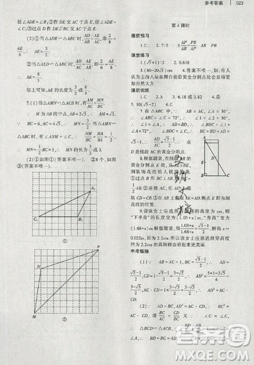 大象出版社2019年基础训练九年级全一册数学北师大版答案