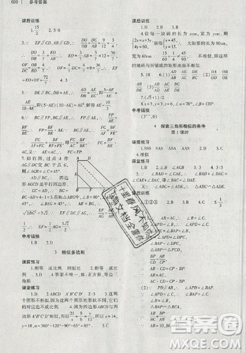 大象出版社2019年基础训练九年级全一册数学北师大版答案