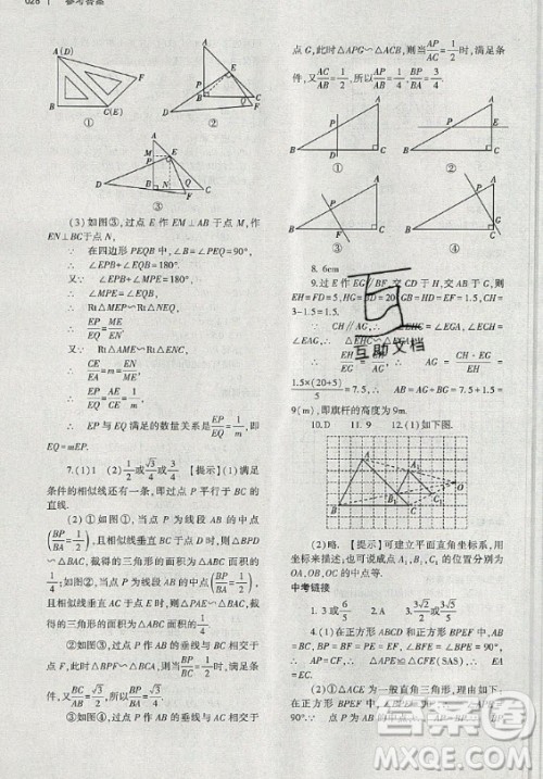 大象出版社2019年基础训练九年级全一册数学北师大版答案