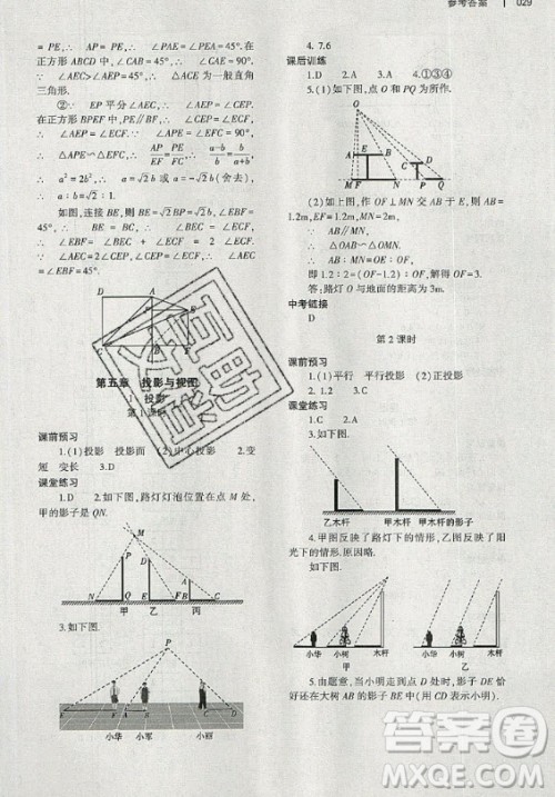 大象出版社2019年基础训练九年级全一册数学北师大版答案