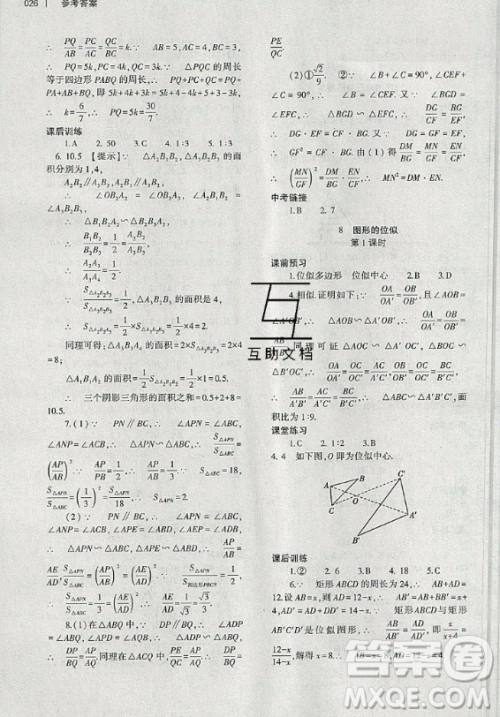 大象出版社2019年基础训练九年级全一册数学北师大版答案