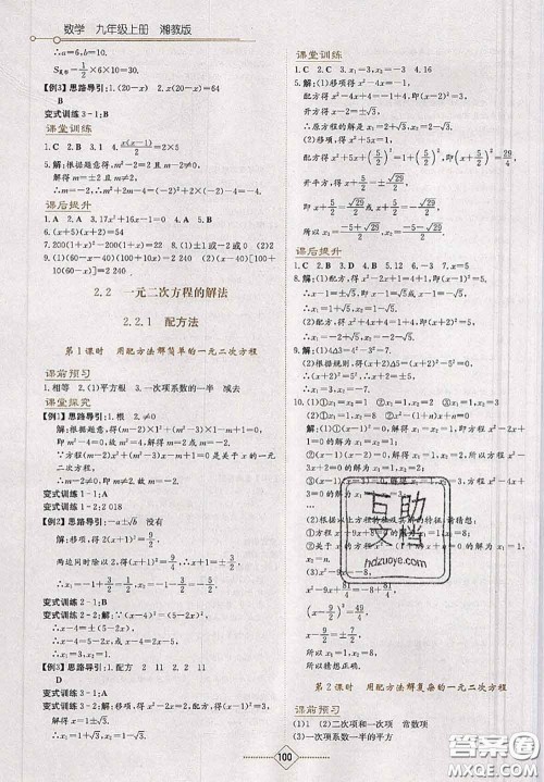 湖南教育出版社2020学法大视野九年级数学上册湘教版参考答案