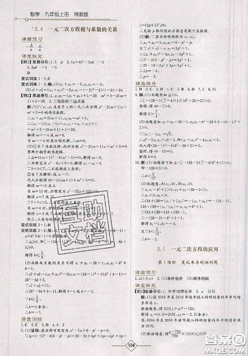 湖南教育出版社2020学法大视野九年级数学上册湘教版参考答案